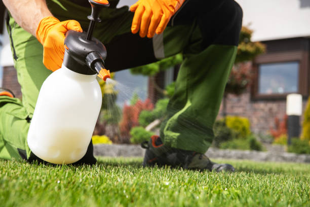 Best Pest Removal Services  in Kuna, ID