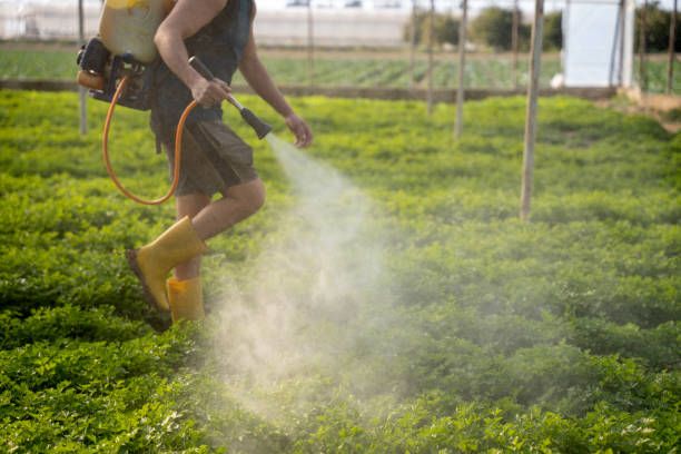 Best Insect Control  in Kuna, ID
