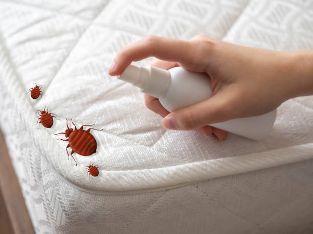 Kuna, ID Pest Control Company