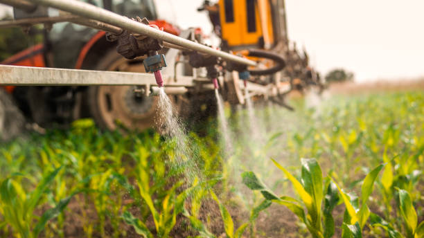 Pest Prevention Services in Kuna, ID